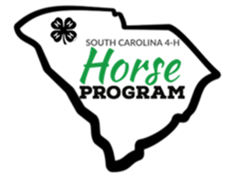Logo for 2024 South Carolina 4-H Horse Show