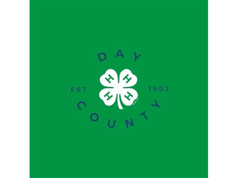Logo for 2024 Day County Fair